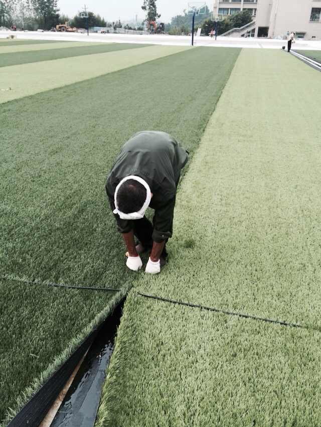 我校完成足球场草坪铺装 - 新闻公告 - 重庆市轻